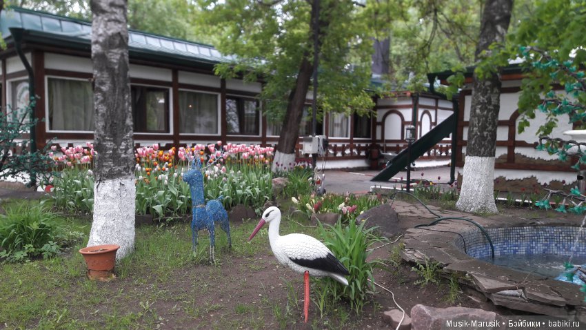 Машкины покатушки — Куклы Маша и Медведь (Simba): Маша в кармашке (фото 7)