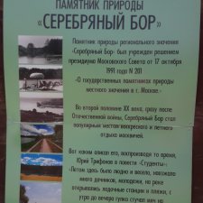 Воскресная прогулка в Серебряном бору