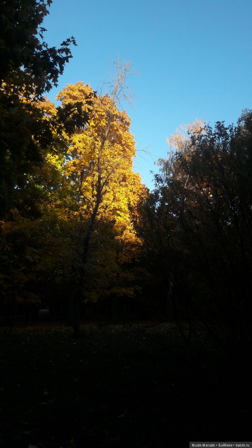 Егоркина пятница — Куклы Kathe Kruse (Кате/Кэте Крузе): фото (фото 7)