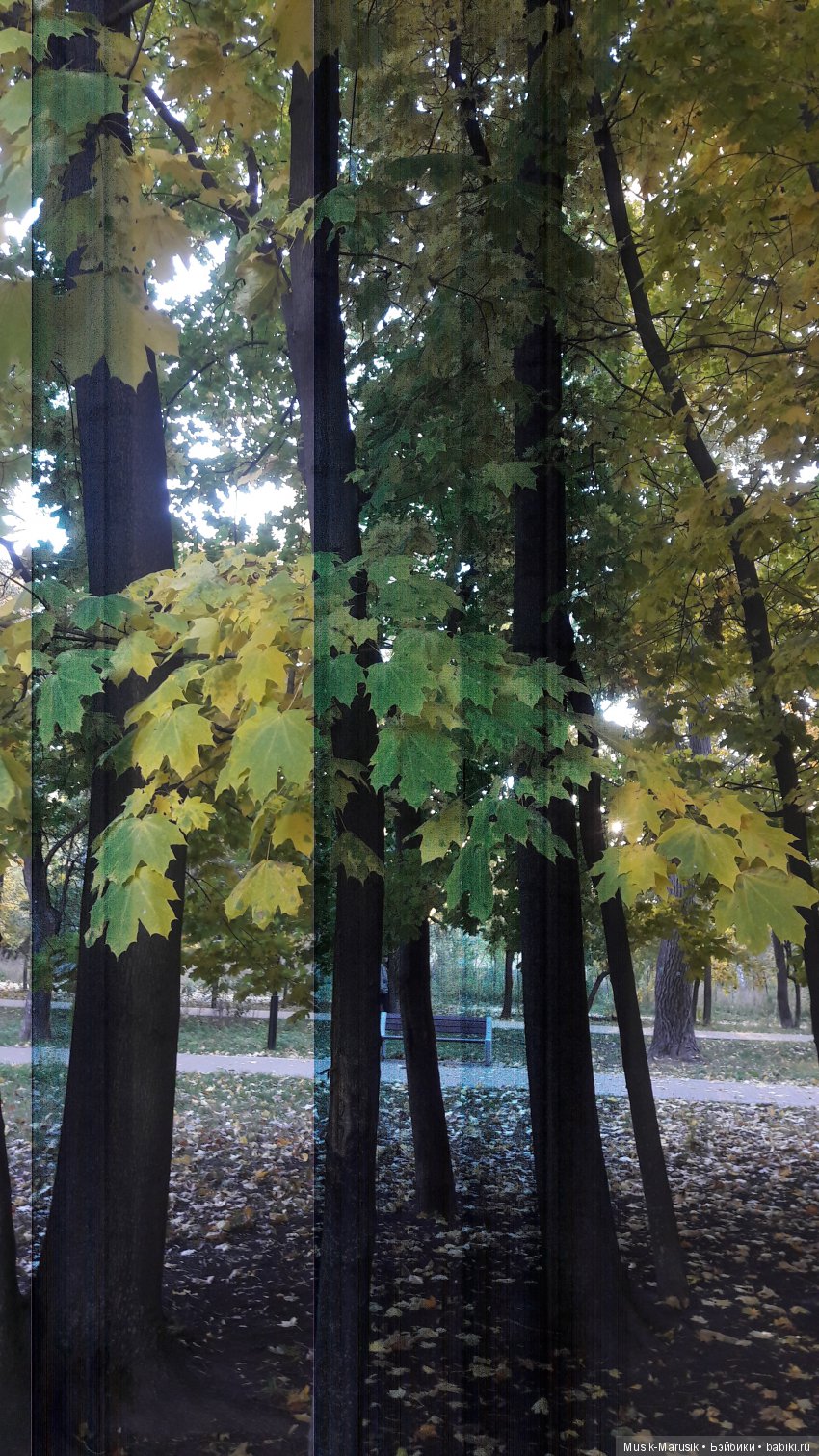 Егоркина пятница — Куклы Kathe Kruse (Кате/Кэте Крузе): фото (фото 6)