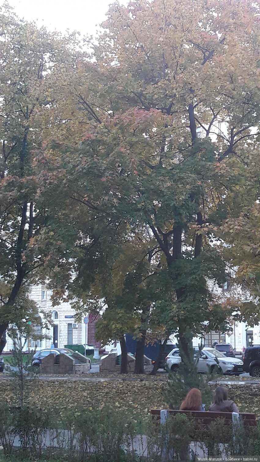 Егоркина пятница — Куклы Kathe Kruse (Кате/Кэте Крузе): фото (фото 5)