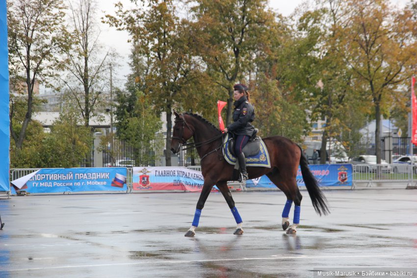 Егоркина пятница — Куклы Kathe Kruse (Кате/Кэте Крузе): фото