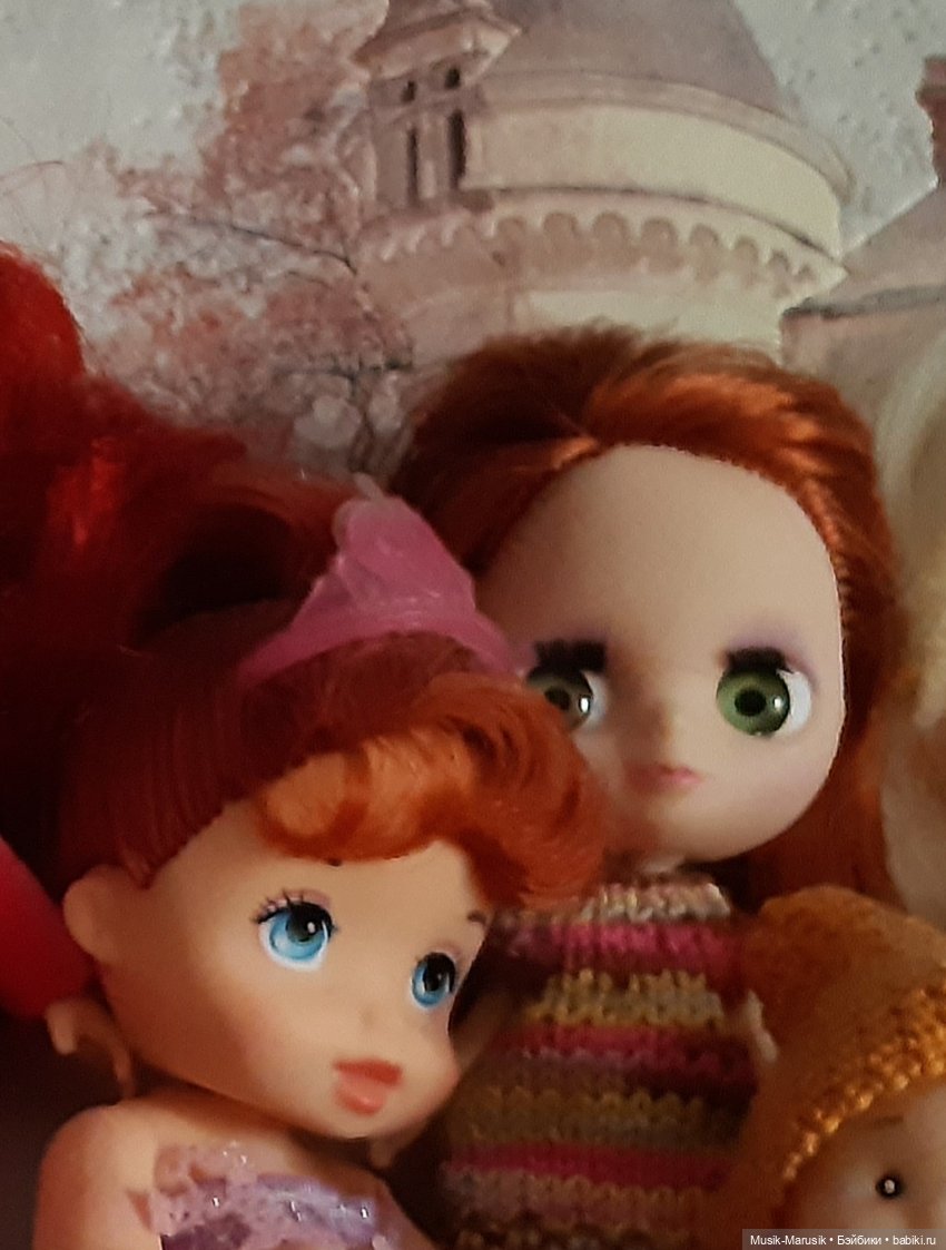 Рыжики бывают разные — Новости конкурсов: план на год