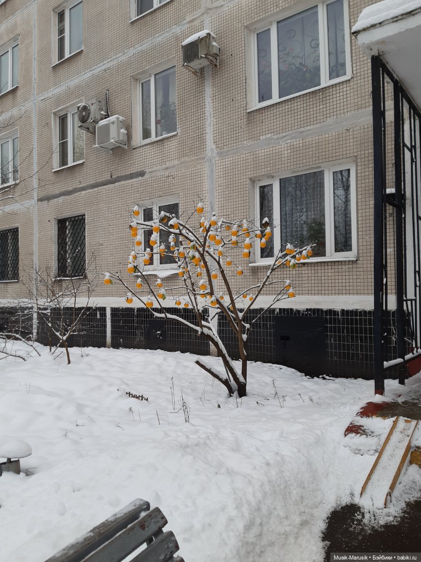 Зимние радости — Игровые мини (фото 3)