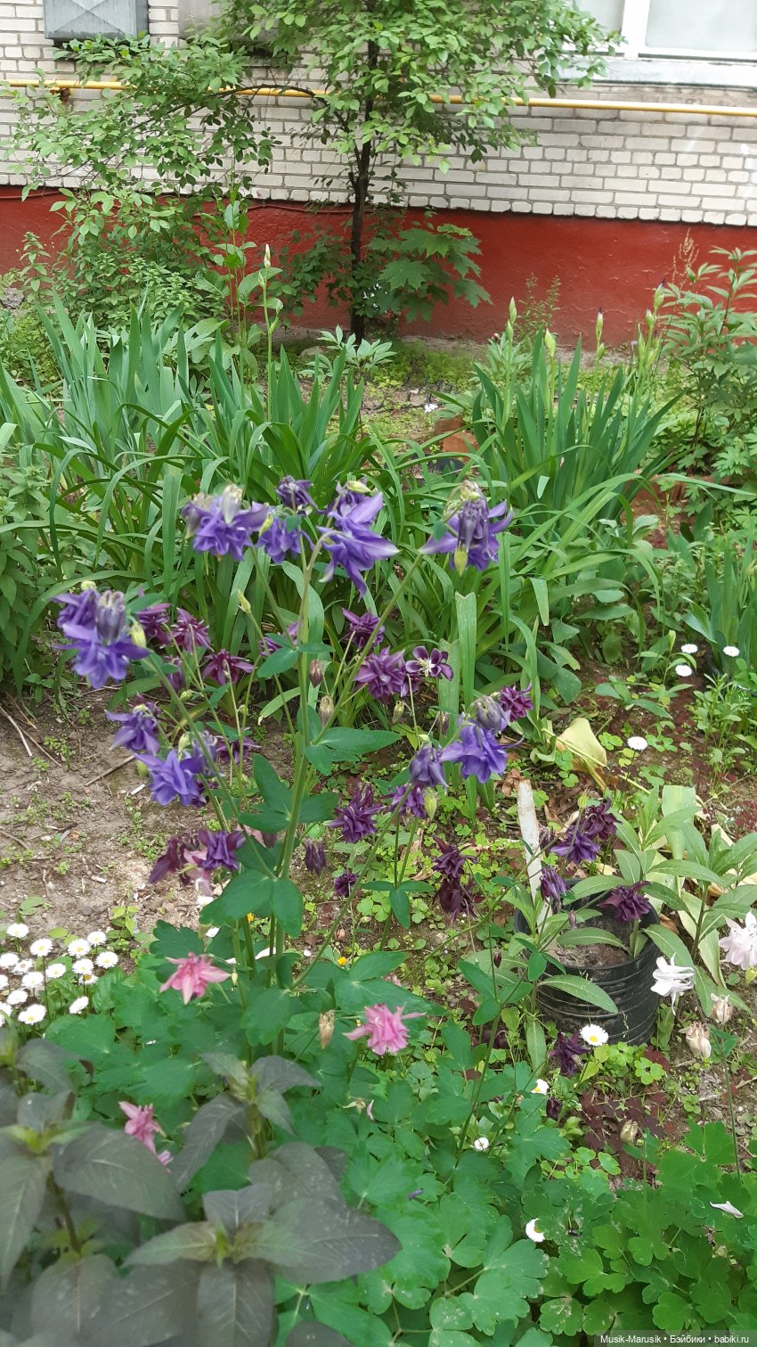 Мишкина прогулка — Коллекционные экшн (фото 10)