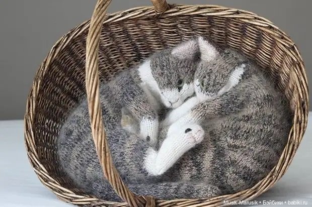 Милые котики: такие вязаные лапки и круглые животики «пощекочут» ваше сердце (фото 5)