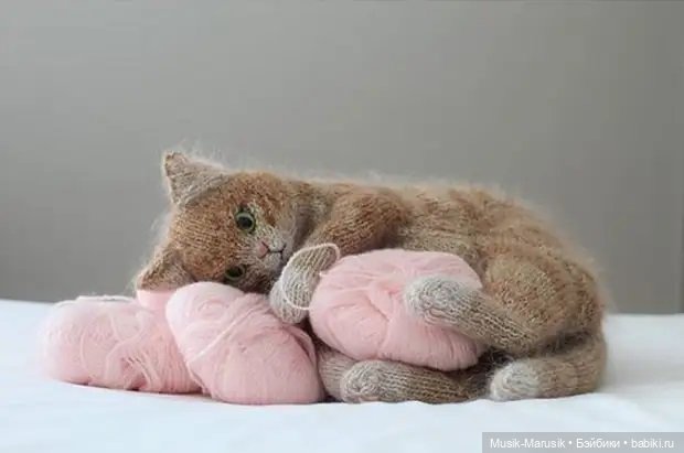 Милые котики: такие вязаные лапки и круглые животики «пощекочут» ваше сердце (фото 2)
