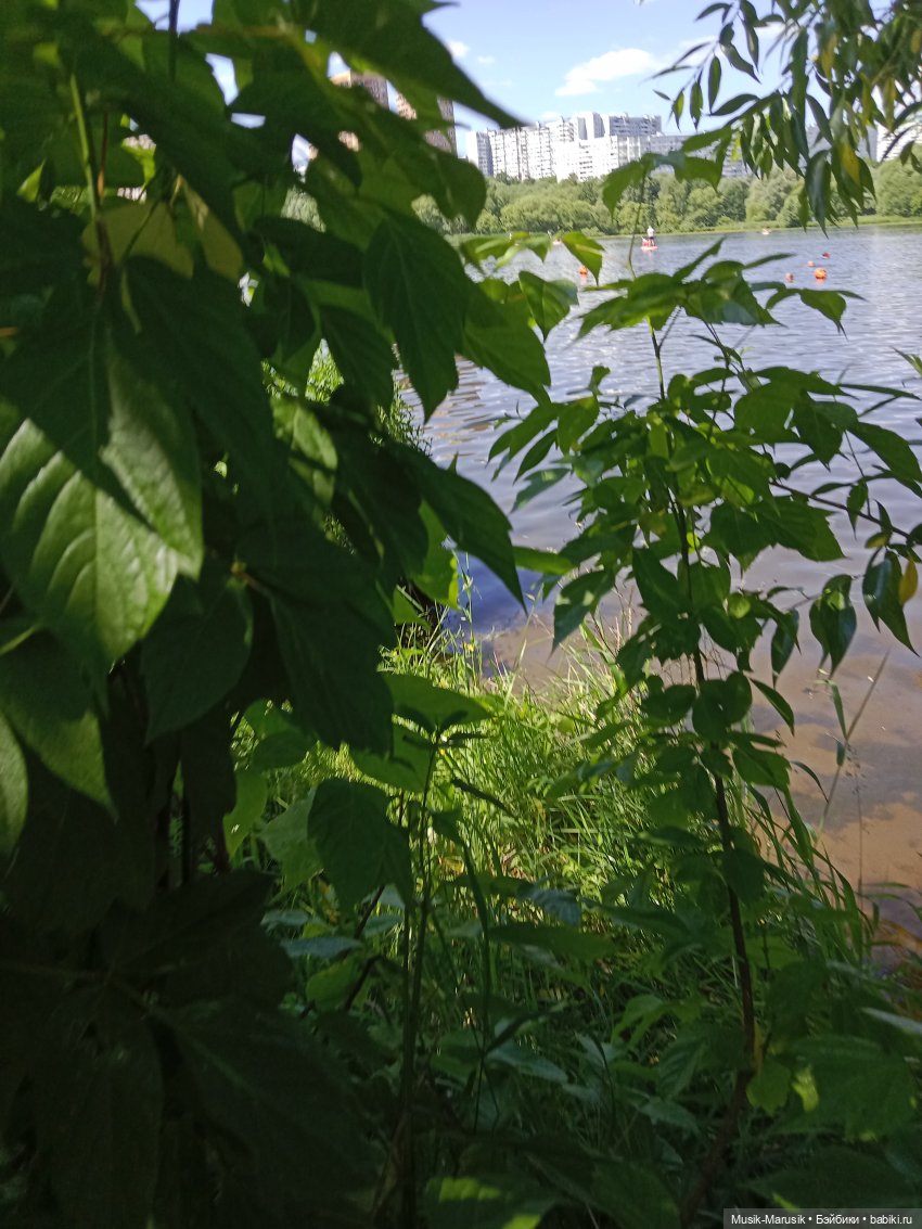 Прогулка — Гибриды шарнирных кукол (не БЖД): подбор тела (фото 8)