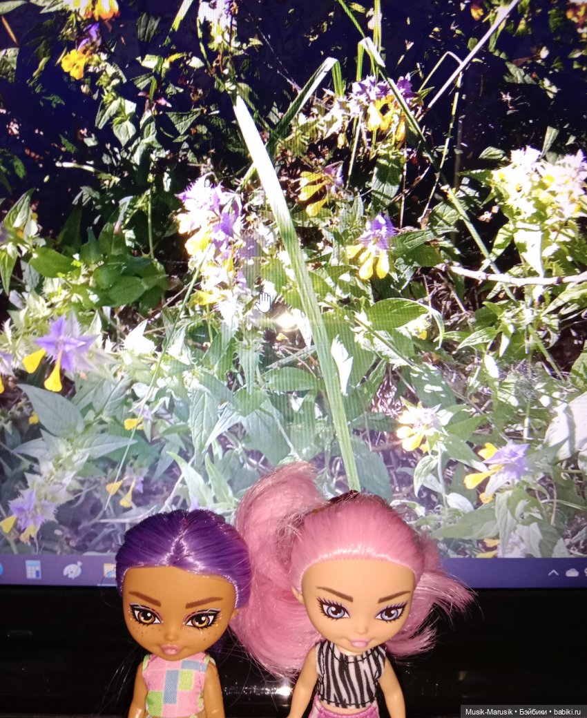 Прогулка с неожиданным концом