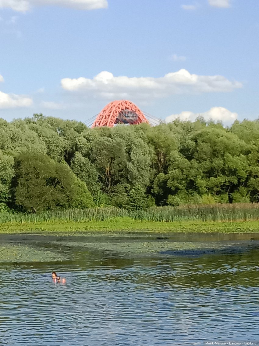 Прогулка с неожиданным концом (фото 5)