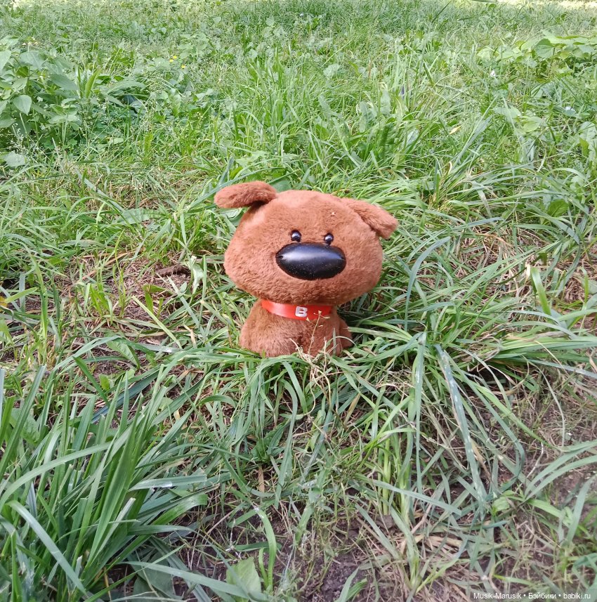 Прогулка — Куклы и тела Obitsu (Обитсу): 1/6