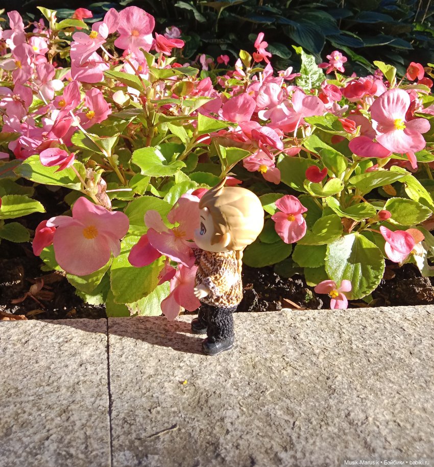 Прогулка — Куклы и тела Obitsu (Обитсу): 1/6 (фото 6)