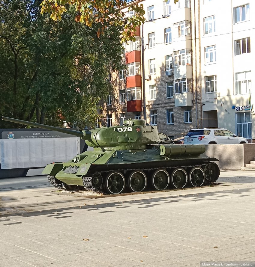 Прогулка — Куклы и тела Obitsu (Обитсу): 1/6 (фото 3)