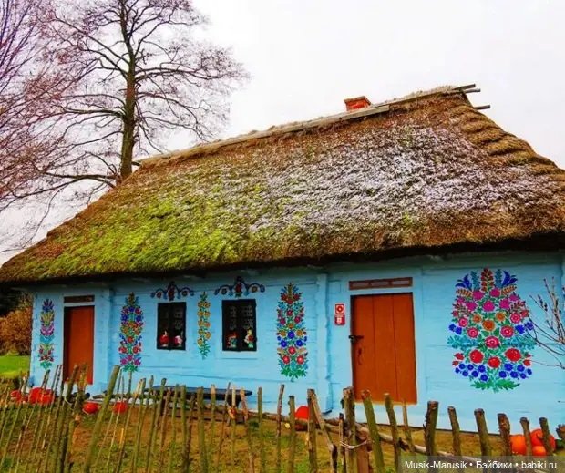 Расписные дома в деревне Залипье (фото 8)