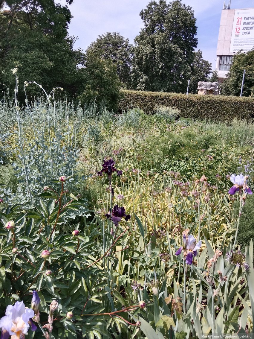 Маринка и Сережка — Разные шарнирные куклы (не БЖД): редкие (фото 6)