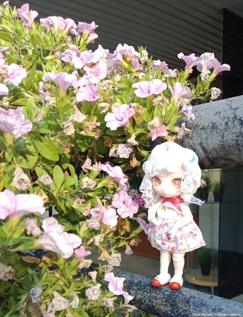 Кукуся — Аниме куклы (MJD/Винил): Imomo (фото 3)