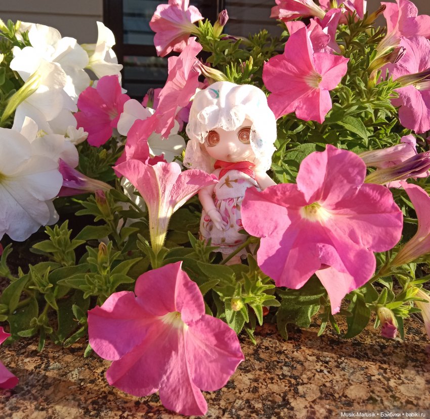 Кукуся — Аниме куклы (MJD/Винил): Imomo (фото 5)