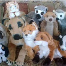 Зверюшки, которые нравятся