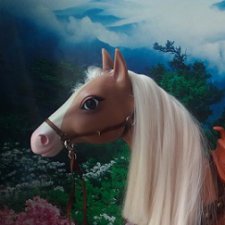 Фото лошади и  мальчиков: Декстера, Хантера