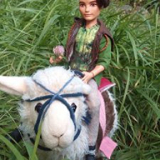 Хантер на природе и верхом на ламе