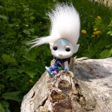 Взяли Зельфа (Zelf) на прогулку)