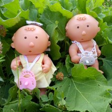 Пара пупсов и полевые цветы