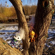 Зельфы в парке, декабрь. The Zelfs.