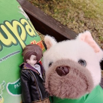 Новенький Зак  на прогулке в парке с друзьями)