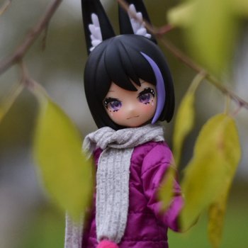 Вышла зайка погулять