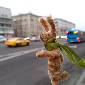 Раз-два-три-четыре-пять, вышел зайка погулять!