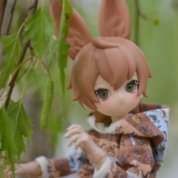 С зайцем весело гулять по просторам!