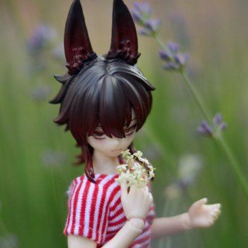 Досуг сицилийского добермана