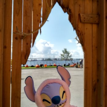 Путевые заметки подходят к концу