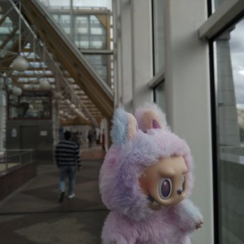 Как я на рынок ходила