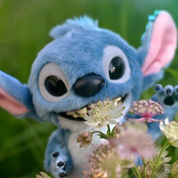 Давай дружить!