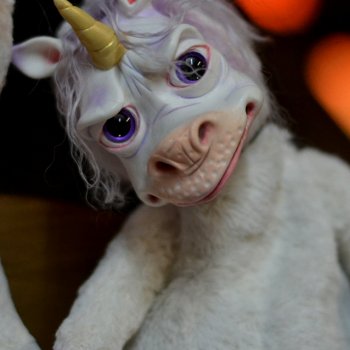 Замечательная территория