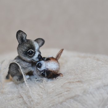 Апчи-хуахуа, или бывшая катушка ниток