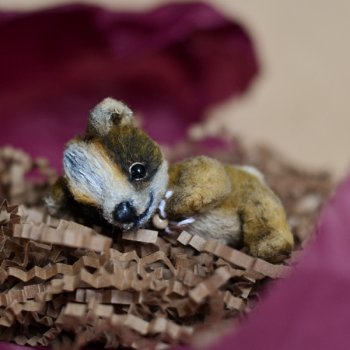 Очень небольшой медведь