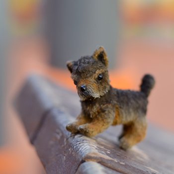 Йорк, характер нордический