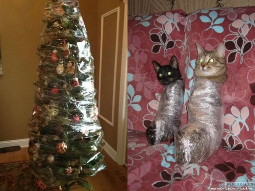 Подготовка к Новому Году — Болталка и разговоры обо всем: жизнь (фото 5)