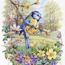 А как Вы встречаете весну? ≈º•º≈