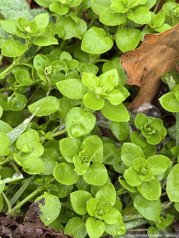 Лето прошло... Лето придёт