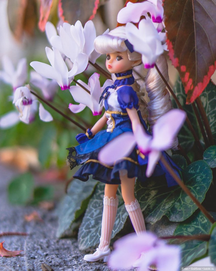 Blommor — мой маленький эльфик: обзор редкой азиатской куклы (фото 5)