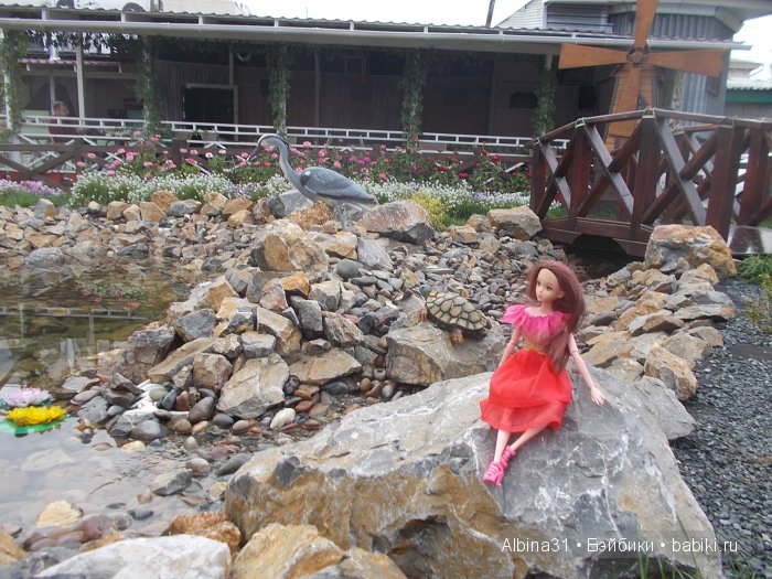 Яркие краски в дождливый день