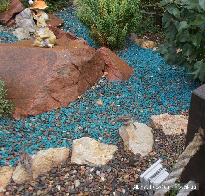 Яркие краски в дождливый день