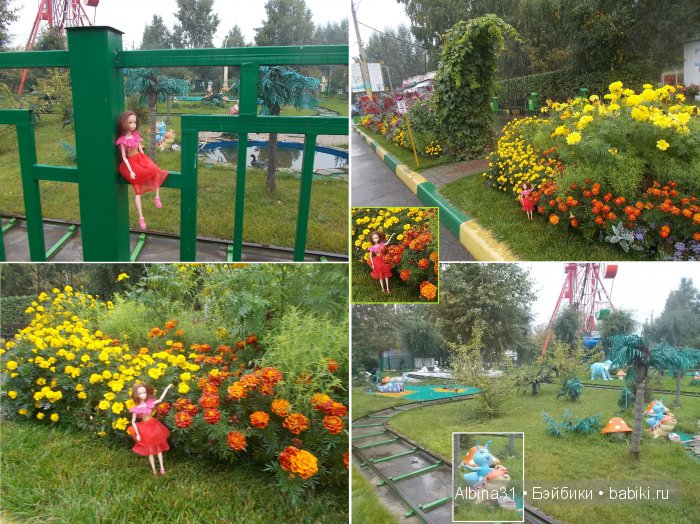 Яркие краски в дождливый день (фото 3)