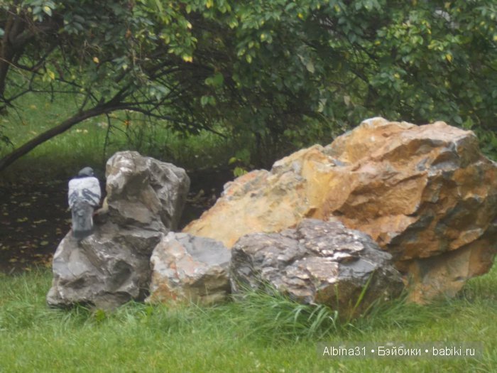 Яркие краски в дождливый день (фото 10)