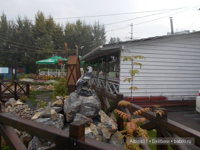 Яркие краски в дождливый день