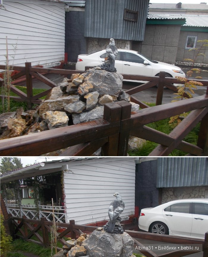 Яркие краски в дождливый день