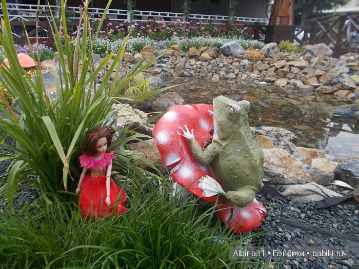 Яркие краски в дождливый день